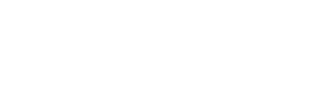 Logo Digital Buzzi NL